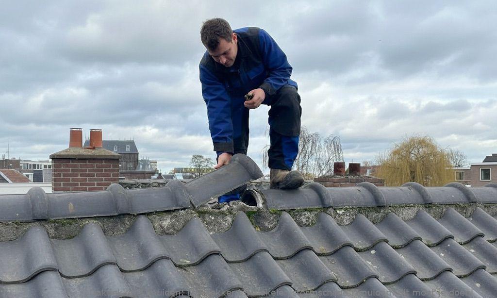 Dakdekker Inschakelen Stormschade Ijmuiden