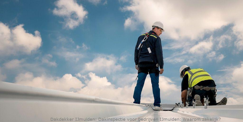 Dakinspectie Voor Bedrijven Ijmuiden