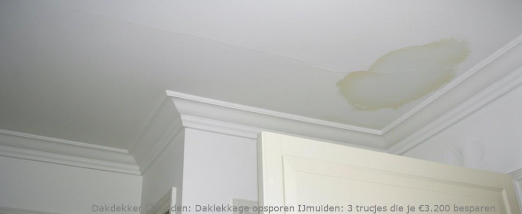 Daklekkage Opsporen Ijmuiden 1