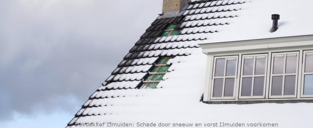 Schade Door Sneeuw En Vorst Ijmuiden